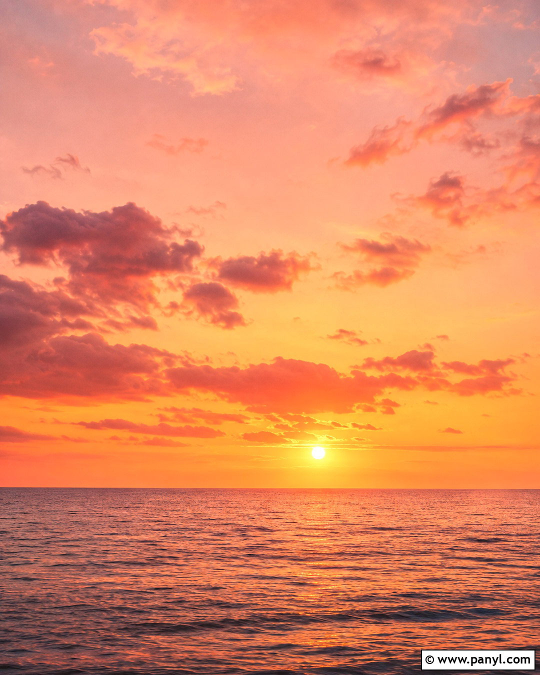 Peach Sunset Background - 20 peach background aesthetic ideas