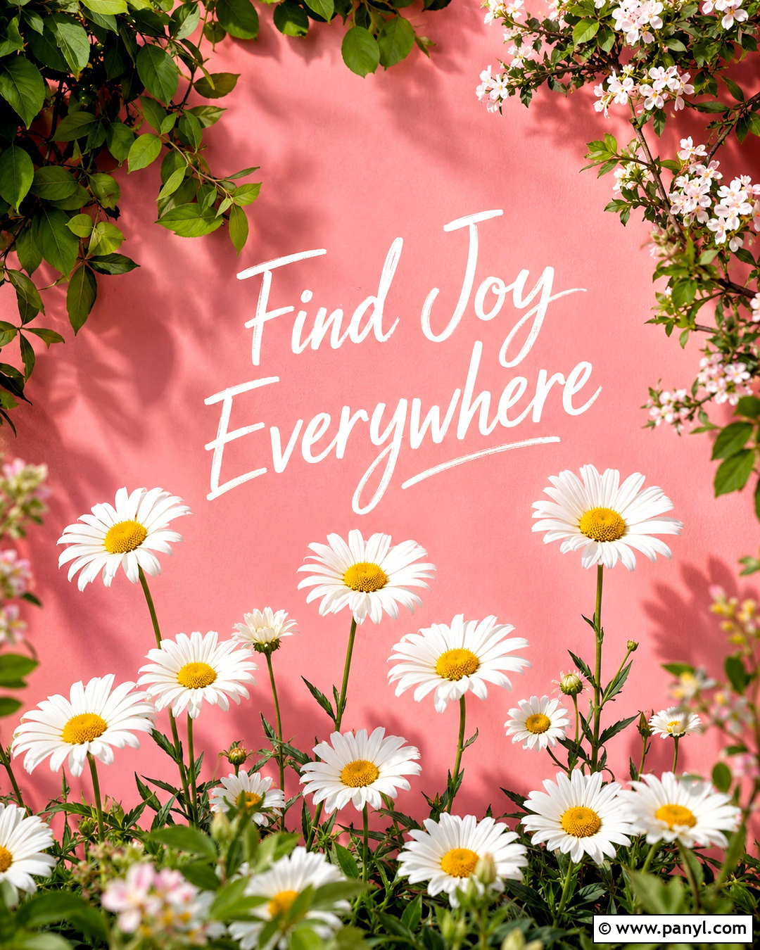 Pink Daisies Positive Quote Wallpaper - 40 pink wallpaper with quotes