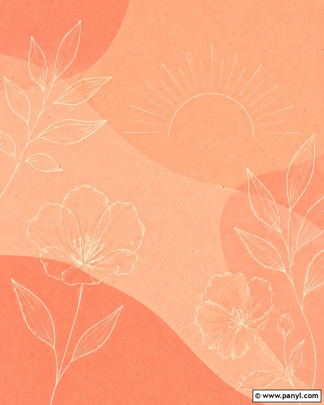 Pink Peach Line Art Wallpaper - 20 pink peach aesthetic wallpaper ideas