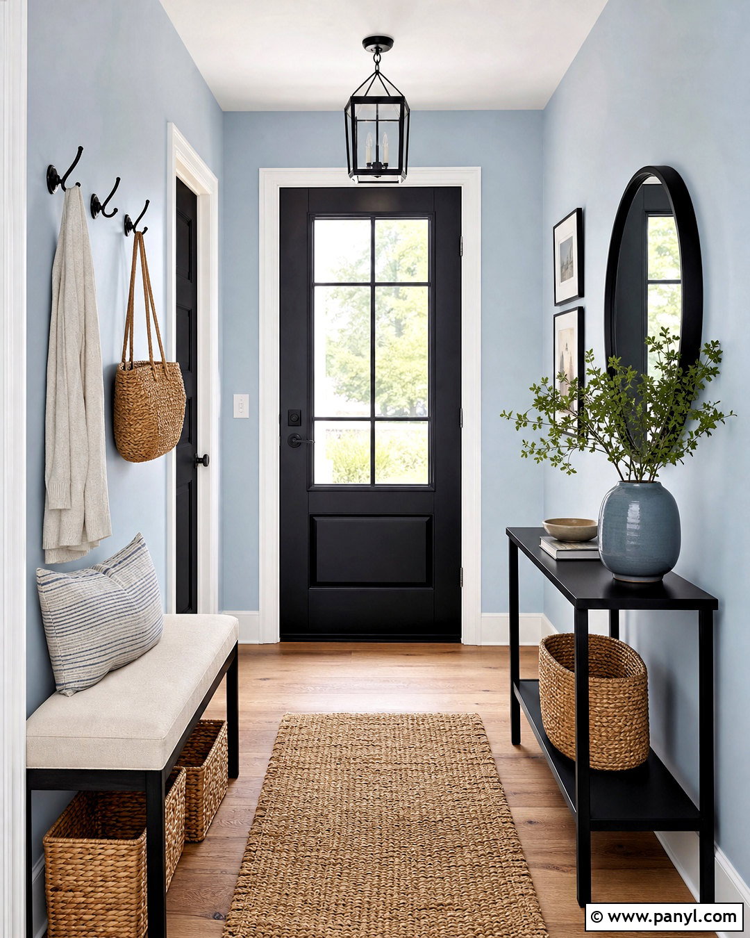 Powder Blue Entryway With Black Accents - 20 powder blue room ideas