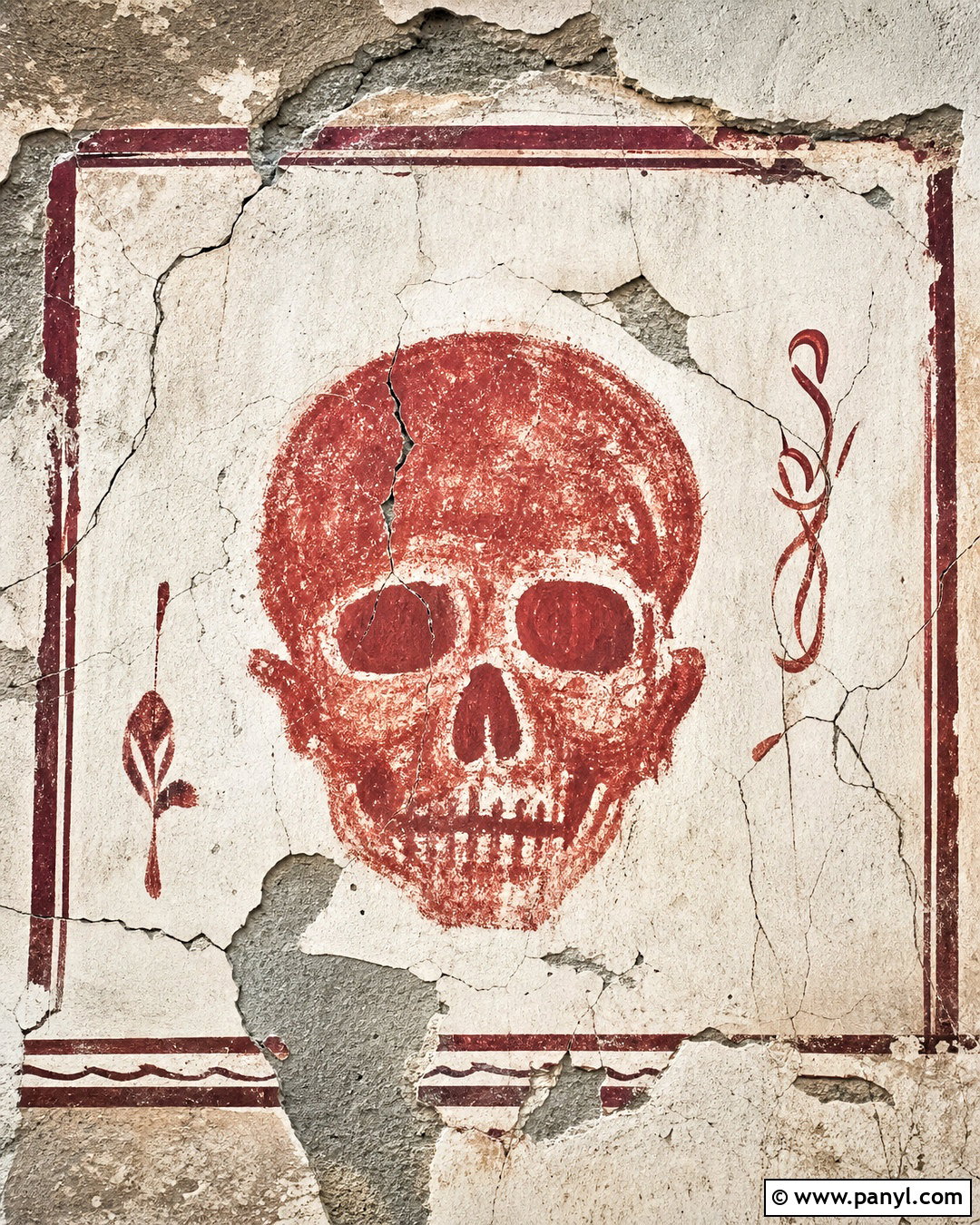Red Skull On Cracked Plaster Background - 20 red skull on textured background ideas