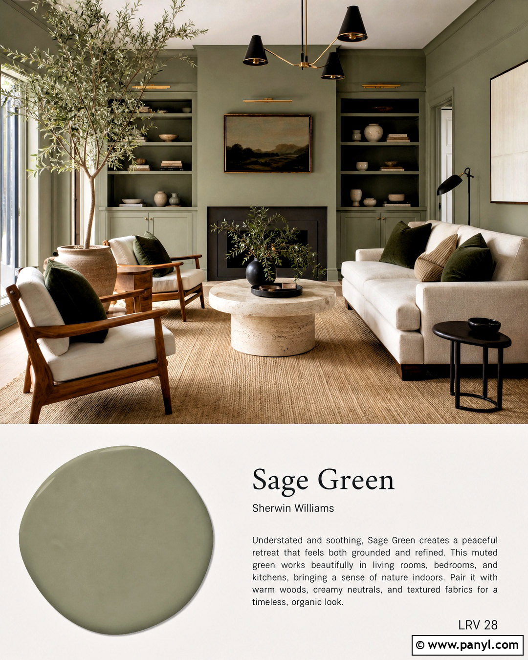 Sage Green Living Room - 20 modern living room paint color ideas