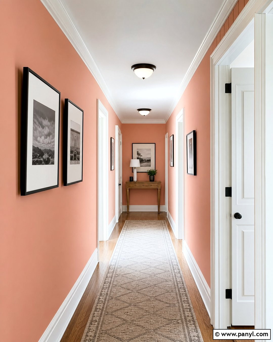 Salmon Hallway With White Trim - 30 Salmon Wall Color Ideas