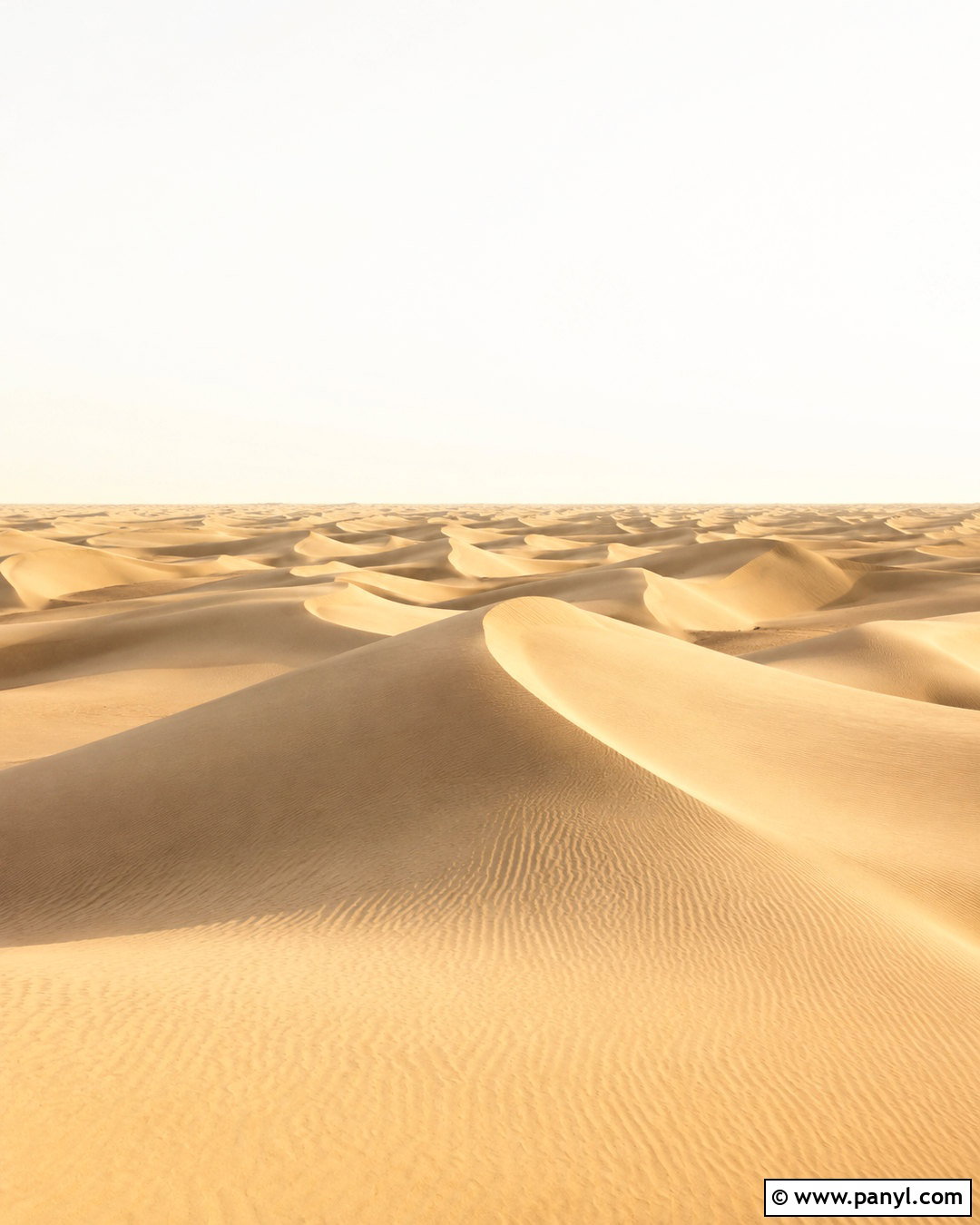 Sand Dune Background Wallpaper - 20 neutral background wallpapers