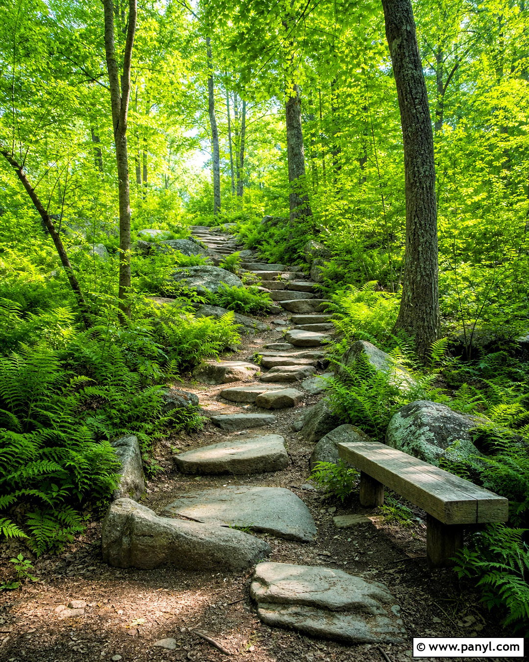 Short Meaningful Quote About Moving Slowly - 20 short meaningful quotes