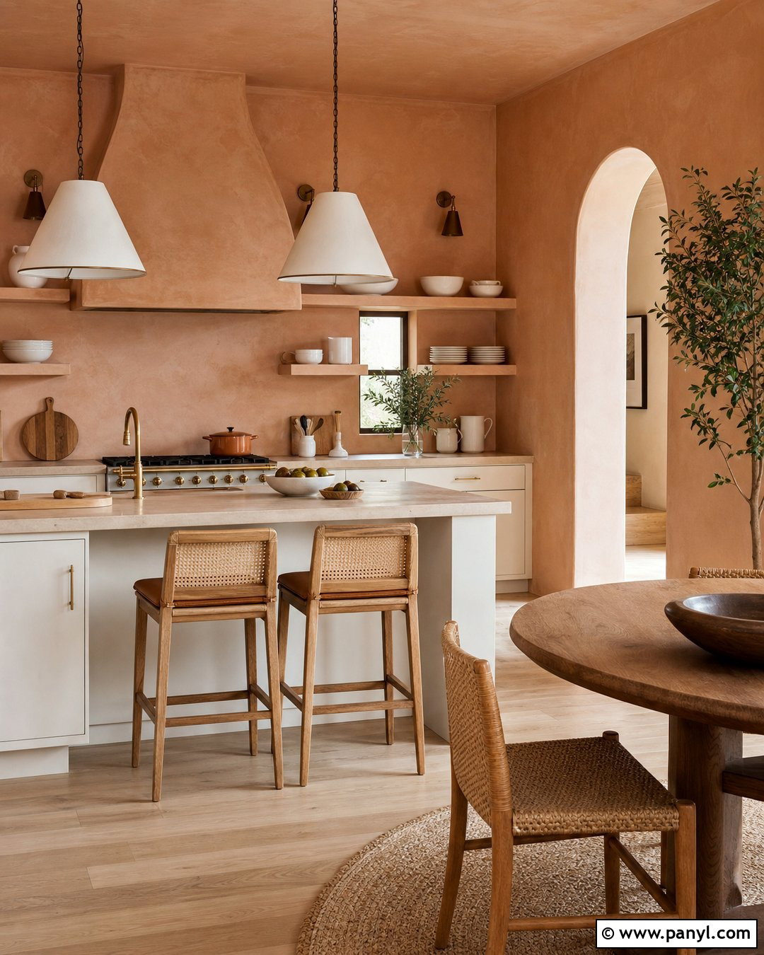 Terracotta Plaster Wall - 20 Plaster Wall Color Ideas