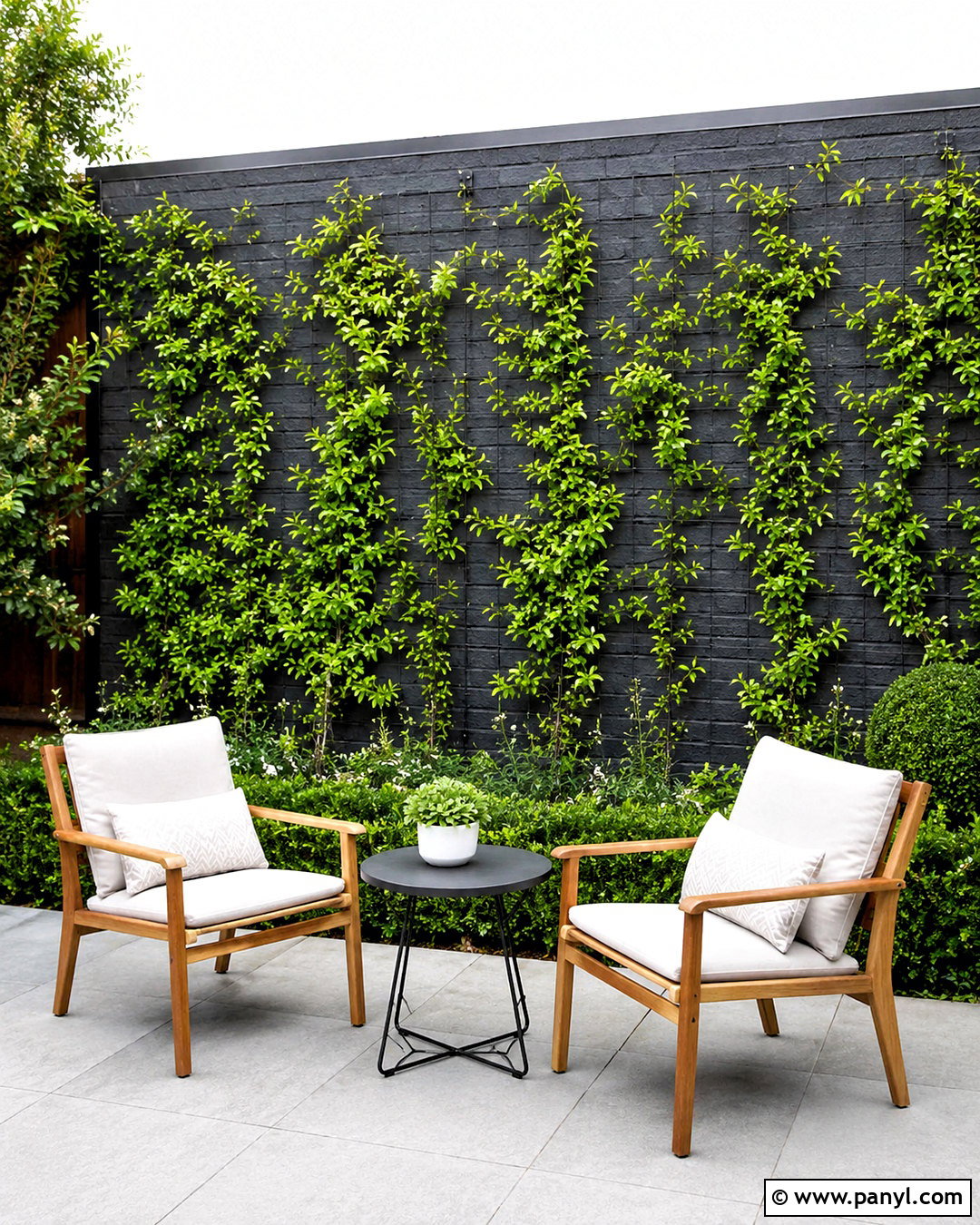 Trellis Vine Outdoor Wall - 20 outdoor wall covering ideas
